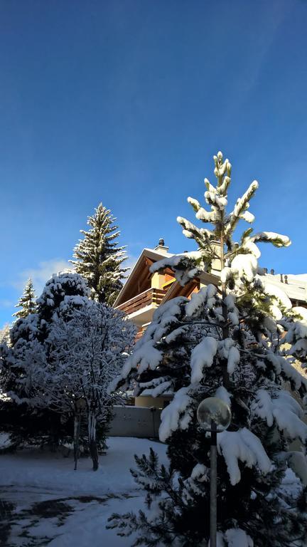 Rodasia Verbier Bagian luar foto