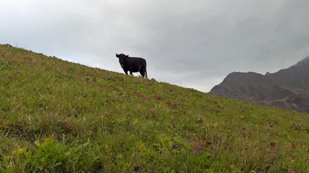 Rodasia Verbier Bagian luar foto